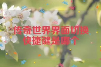 传奇世界界面切换快捷键是哪个