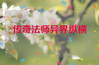 传奇法师异界纵横
