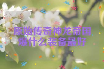 原始传奇神龙帝国爆什么装备最好