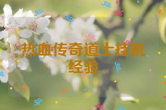 热血传奇道士挂机经验