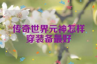 传奇世界元神怎样穿装备最好
