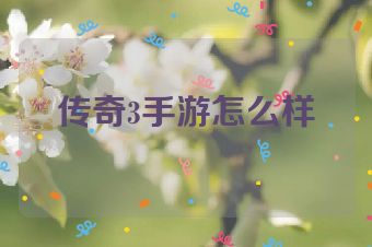 传奇3手游怎么样