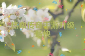 热血传奇手游升级最快