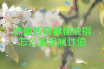 热血传奇神秘戒指怎么鉴定属性值