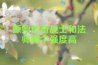 原始传奇战士和法师哪个强度高