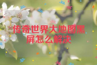传奇世界大地图黑屏怎么解决
