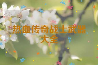 热血传奇战士武器大全