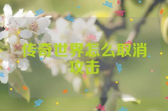传奇世界怎么取消攻击