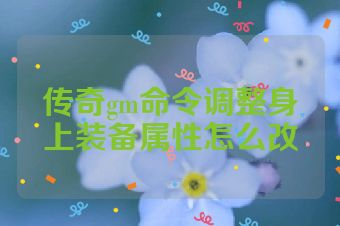 传奇gm命令调整身上装备属性怎么改