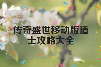 传奇盛世移动版道士攻略大全