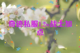 奇迹私服1.2w战士加点