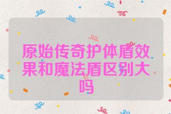 原始传奇护体盾效果和魔法盾区别大吗