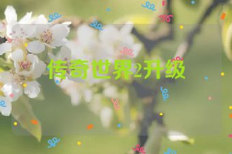 传奇世界2升级
