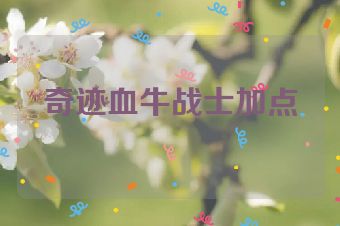 奇迹血牛战士加点