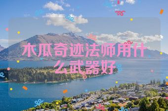 木瓜奇迹法师用什么武器好