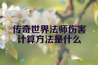 传奇世界法师伤害计算方法是什么