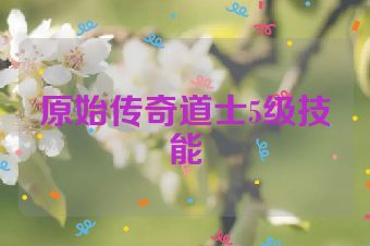 原始传奇道士5级技能