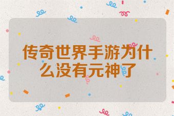 传奇世界手游为什么没有元神了