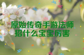 原始传奇手游法师招什么宝宝厉害
