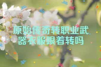 原始传奇转职业武器衣服跟着转吗