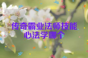 传奇霸业法师技能心法学哪个