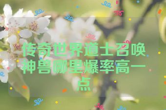 传奇世界道士召唤神兽哪里爆率高一点