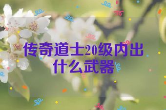 传奇道士20级内出什么武器