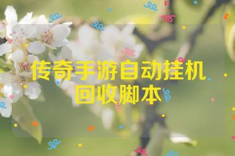 传奇手游自动挂机回收脚本