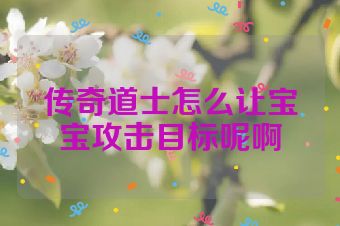 传奇道士怎么让宝宝攻击目标呢啊