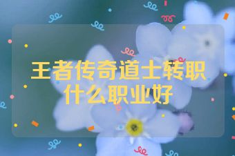 王者传奇道士转职什么职业好
