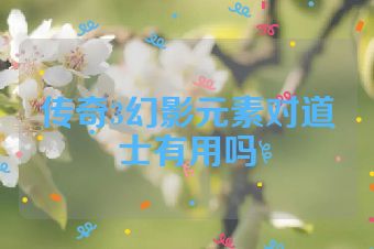 传奇3幻影元素对道士有用吗