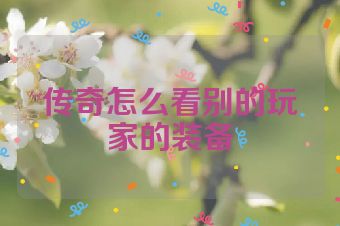 传奇怎么看别的玩家的装备