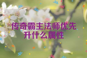 传奇霸主法师优先升什么属性