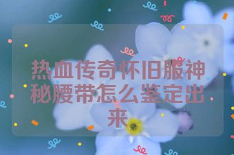 热血传奇怀旧服神秘腰带怎么鉴定出来