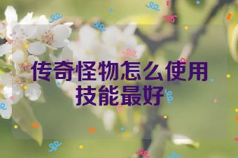 传奇怪物怎么使用技能最好