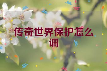 传奇世界保护怎么调