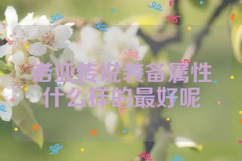 诺亚传说装备属性什么样的最好呢
