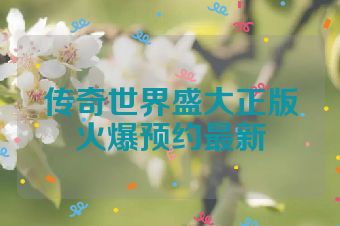 传奇世界盛大正版火爆预约最新