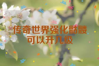 传奇世界强化骷髅可以升几级