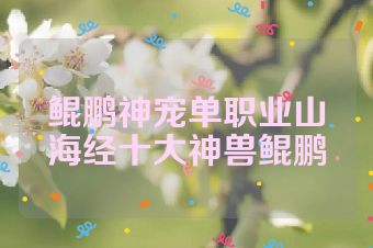 鲲鹏神宠单职业山海经十大神兽鲲鹏