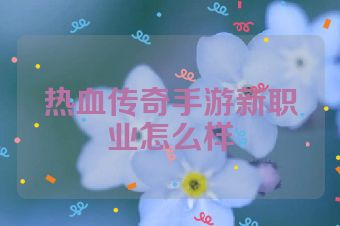 热血传奇手游新职业怎么样