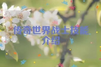 传奇世界战士技能介绍