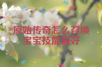 原始传奇怎么召唤宝宝技能最好