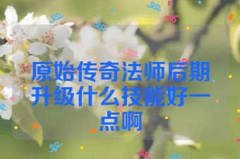 原始传奇法师后期升级什么技能好一点啊