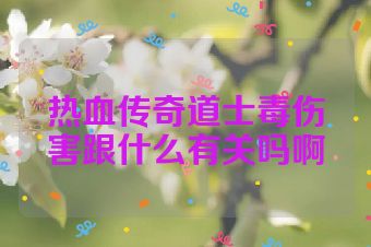 热血传奇道士毒伤害跟什么有关吗啊