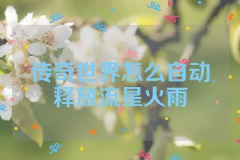 传奇世界怎么自动释放流星火雨