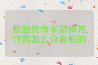 原始传奇手游神龙守将怎么分真假的