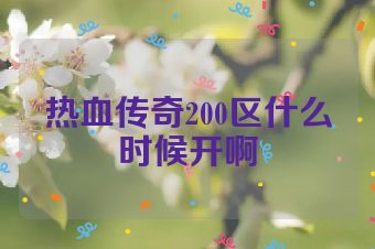 热血传奇200区什么时候开啊