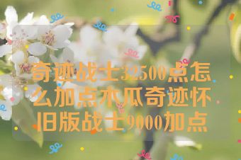 奇迹战士32500点怎么加点木瓜奇迹怀旧版战士9000加点