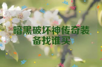 暗黑破坏神传奇装备找谁买
